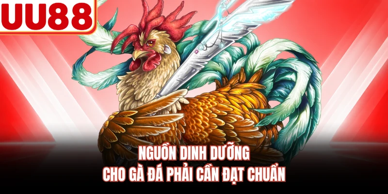 Nguồn dinh dưỡng cho gà đá phải cần đạt chuẩn