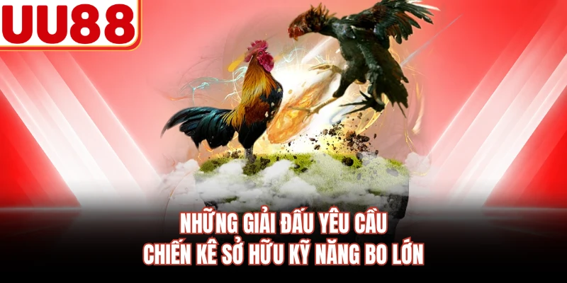 Những giải đấu yêu cầu chiến kê sở hữu kỹ năng bo lớn 